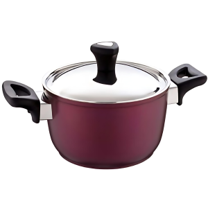 حلة تيفال نبيتي مقاس 28 - سافلون